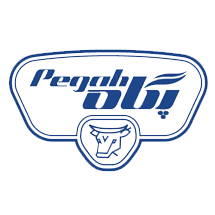 لوگوی شرکت پگاه از مشتریان آبگین تهویه